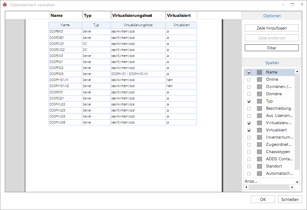 Docusnap IT-Konzepte Datenelement Spaltenoptionen Docusnap IT-Konzepte Datenelement Spaltenoptionen