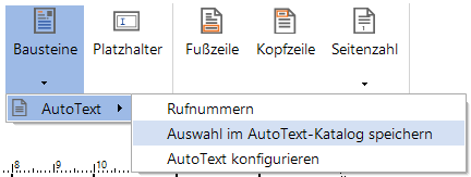 Docusnap IT-Konzepte Autotext speichern