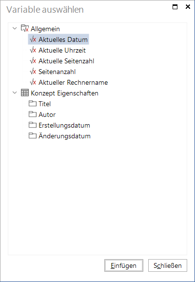 Docusnap IT-Konzept Variablen