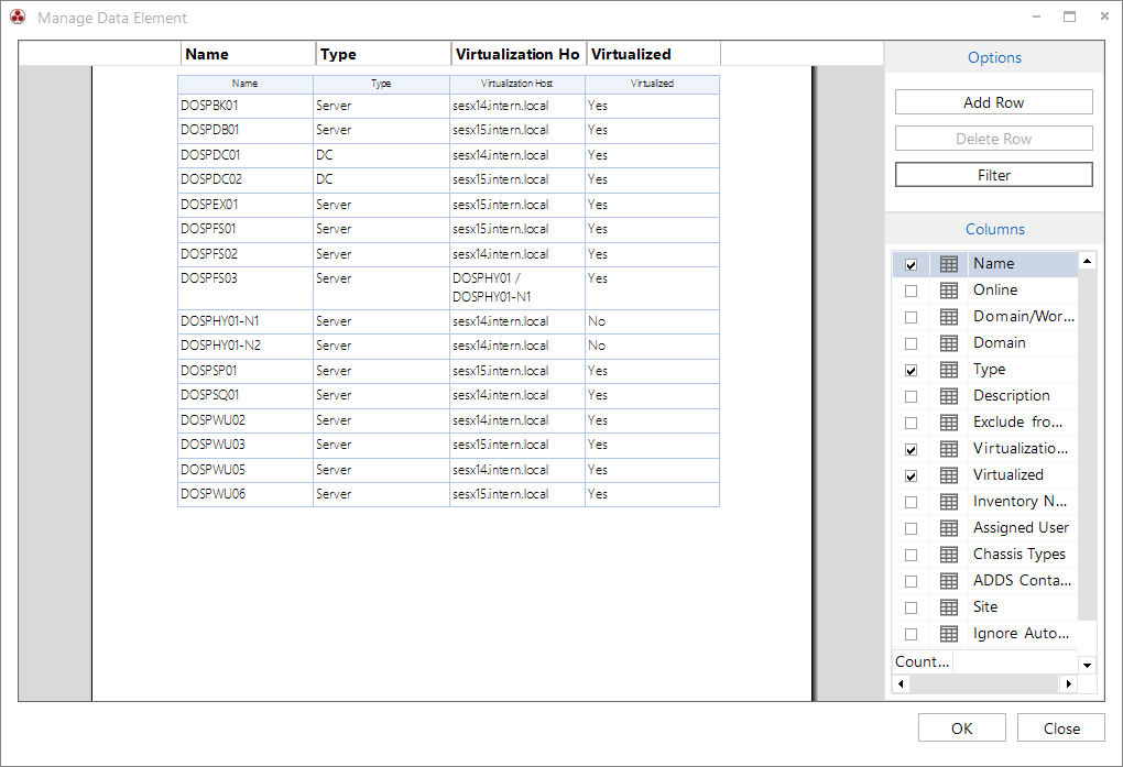 Docusnap IT Concepts Data Element Column Options