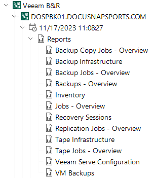 Docusnap Inventory Veeam Tree Reports Docusnap Inventory Veeam Tree Reports