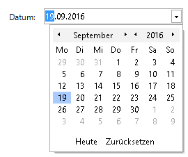 Docusnap-Editor-Datum